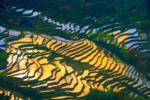 Bada Hani Rice Terrace in Yuanyang, Honghe