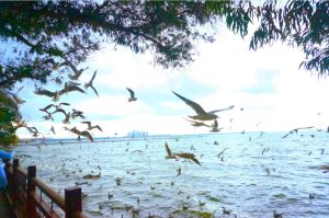 Dianchi Lake, Kunming