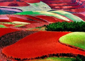 Dongchuan Red Land in Kunming (10)