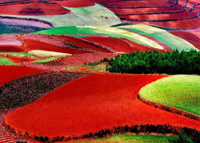 Dongchuan Red Land in Kunming (10)