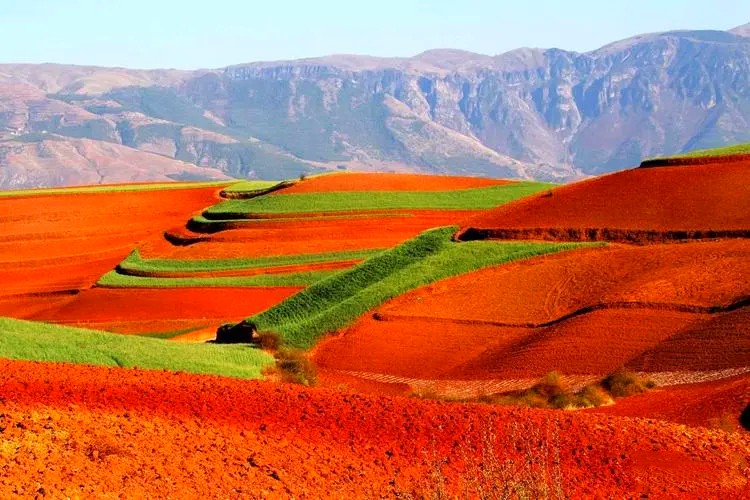 Dongchuan Red Land in Kunming (13)