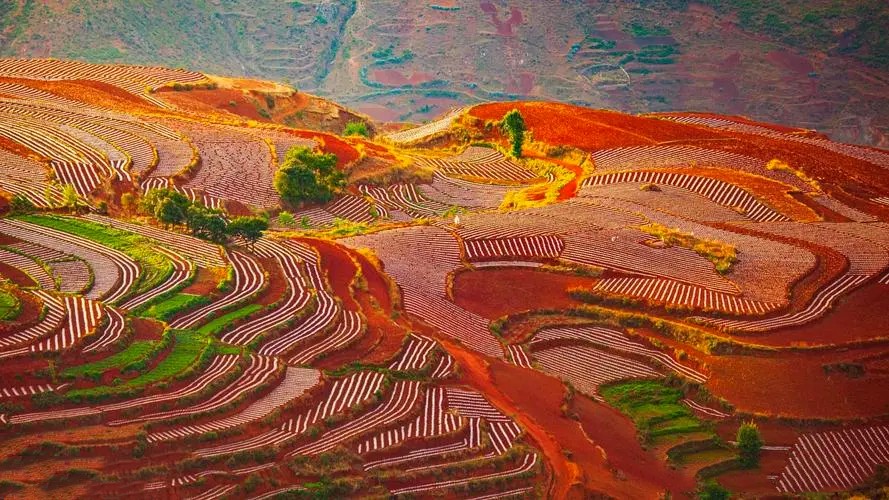 Dongchuan Red Land in Kunming (15)