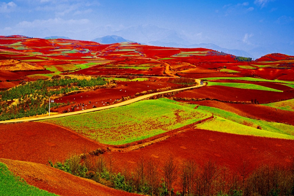 Dongchuan Red Land in Kunming (17)