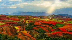 Dongchuan Red Land in Kunming (19)