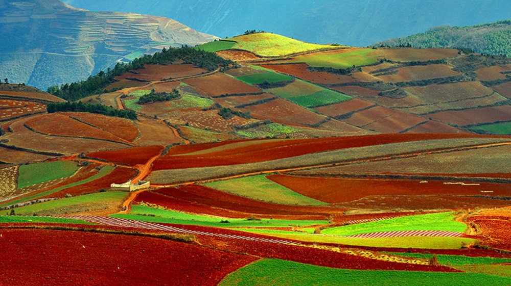 Dongchuan Red Land in Kunming (21)