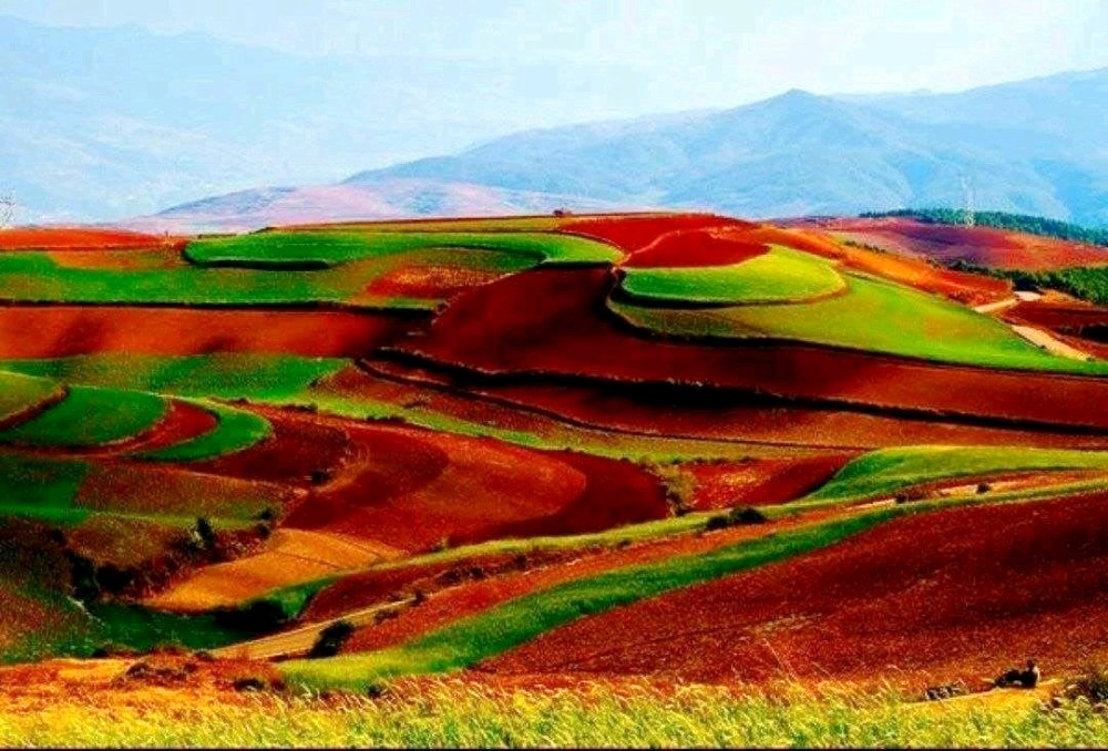 Dongchuan Red Land in Kunming (22)