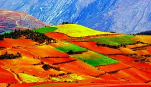 Dongchuan Red Land in Kunming (24)