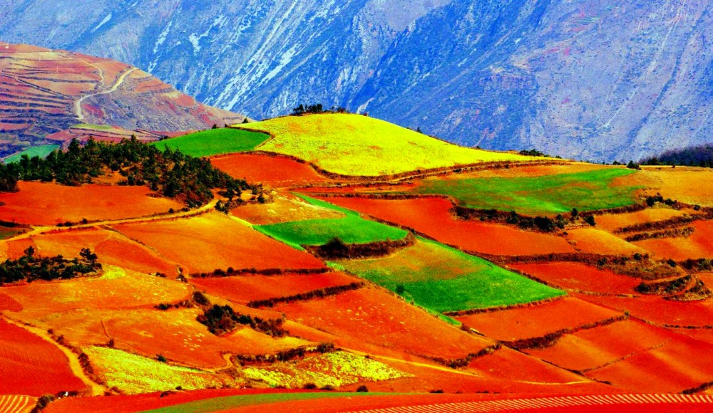 Dongchuan Red Land in Kunming (24)