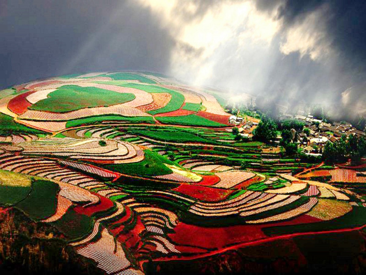 Dongchuan Red Land in Kunming (26)