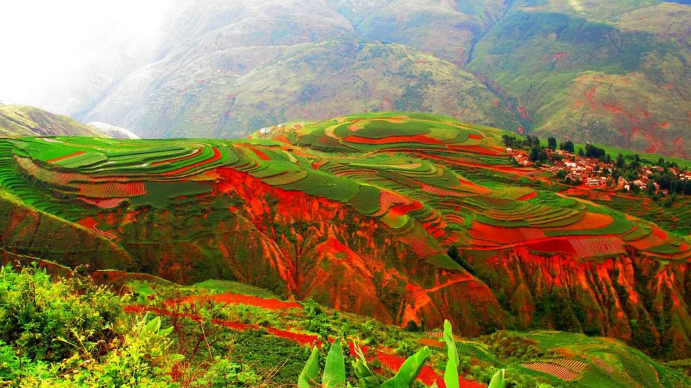 Dongchuan Red Land in Kunming (29)