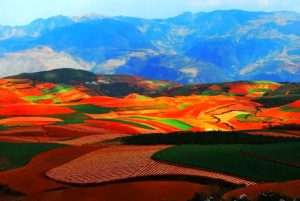 Dongchuan Red Land in Kunming (30)