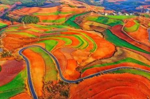 Dongchuan Red Land in Kunming (4)