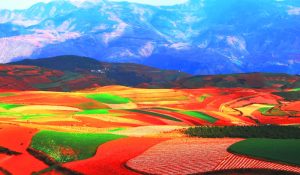 Dongchuan Red Land in Kunming (9)