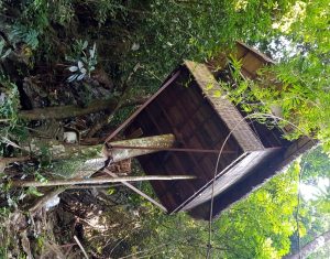 Elephant Adventure Village Tree House in Vang Vieng, Laos (2)