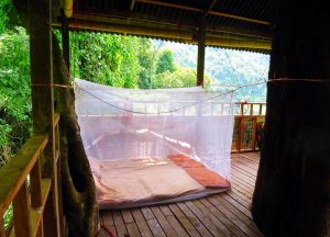 Elephant Adventure Village Tree House in Vang Vieng, Laos (3)