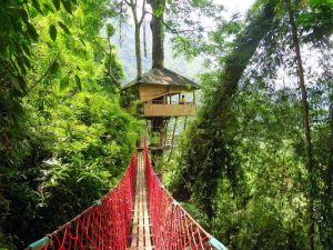 Elephant Adventure Village Tree House in Vang Vieng, Laos (5)