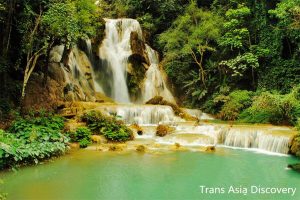 Kuang Si Waterfall in Luang Prabang (11)