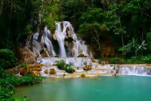 Kuang Si Waterfall in Luang Prabang (23)