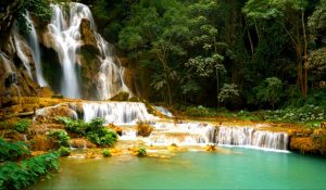 Kuang Si Waterfall in Luang Prabang (7)