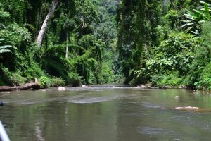 Lao National Protected Area Network in Luang Nam Tha, Laos