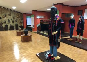 Luang Namtha Province Museum in Laos (2)