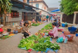 Luang Prabang Morning Market (4)