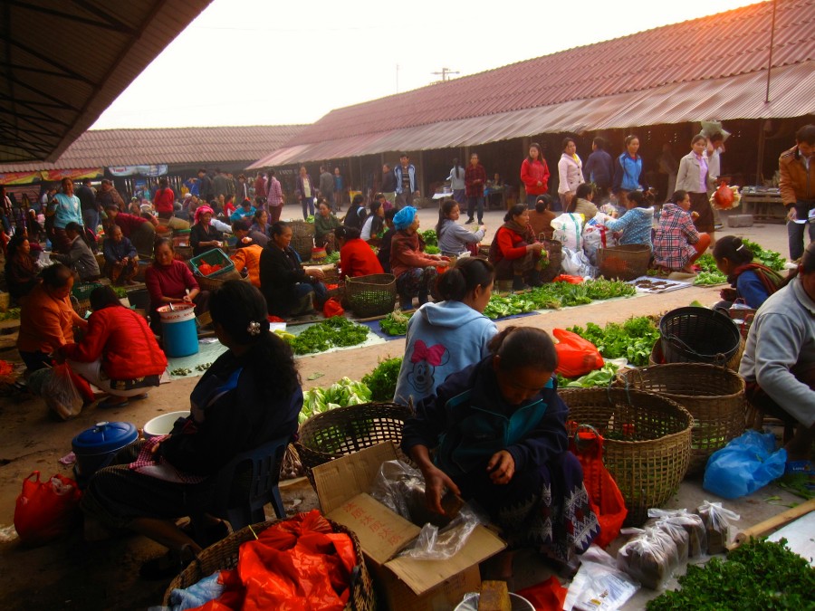 green vendors