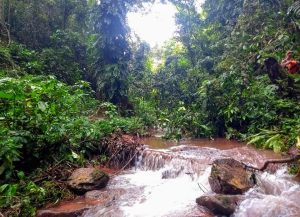 Nam Ha National Protected Area in Luang Nam Tha, Laos (12)