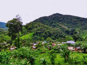 Nam Ha National Protected Area in Luang Nam Tha, Laos (13)