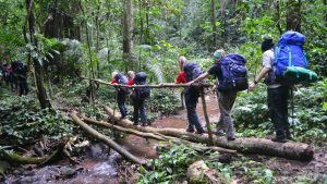 Nam Ha National Protected Area in Luang Nam Tha, Laos (2)