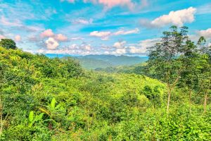 Nam Ha National Protected Area in Luang Nam Tha, Laos (21)