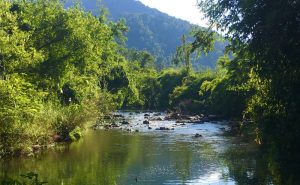 Nam Ha National Protected Area in Luang Nam Tha, Laos (25)