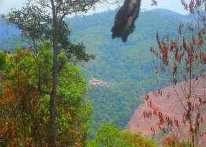 Nam Ha National Protected Area in Luang Nam Tha, Laos (26)