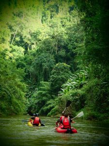 Nam Ha National Protected Area in Luang Nam Tha, Laos (3)