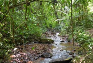 Nam Ha National Protected Area in Luang Nam Tha, Laos (4)