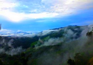 Nam Ha National Protected Area in Luang Nam Tha, Laos (6)