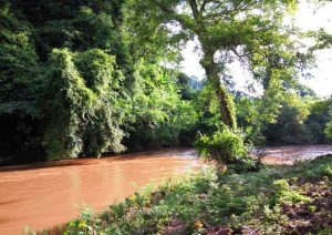 Nam Ha National Protected Area in Luang Nam Tha, Laos (9)