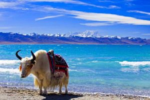 Namtso Lake in Tibet (1)