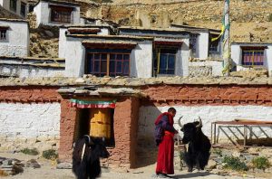 Rongbuk-Monastery-and-Mount-Everest-View-in-Tingri-County-Tibet-07