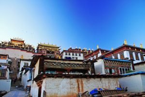 Songzanlin Monastery in Shangri La, Diqing (10)