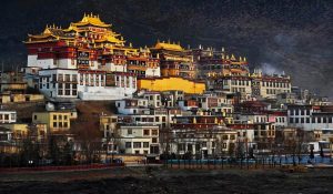 Songzanlin Monastery in Shangri La, Diqing (20)