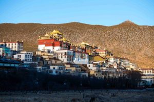 Songzanlin Monastery in Shangri La, Diqing (3)