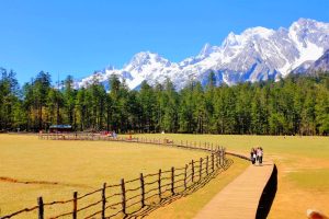 Spruce Meadow Cableway of Jade Dragon Snow Mountain in Lijiang (10)