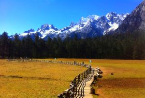 Spruce Meadow Cableway of Jade Dragon Snow Mountain in Lijiang (15)