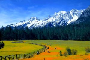 Spruce Meadow Cableway of Jade Dragon Snow Mountain in Lijiang (19)