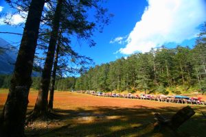 Spruce Meadow Cableway of Jade Dragon Snow Mountain in Lijiang (9)