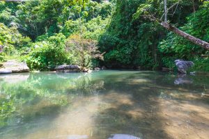 Tham Nam Water Cave in Vang Vieng, Laos (1)