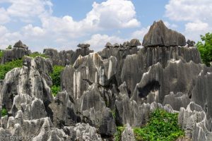 The Stone Forest in Kunming (16)