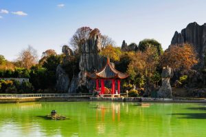 The Stone Forest in Kunming (8)