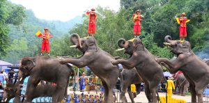 Wild Elephant Valley in Jinghong, XishuangBanna001